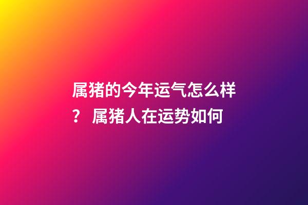 属猪的今年运气怎么样？ 属猪人在运势如何
